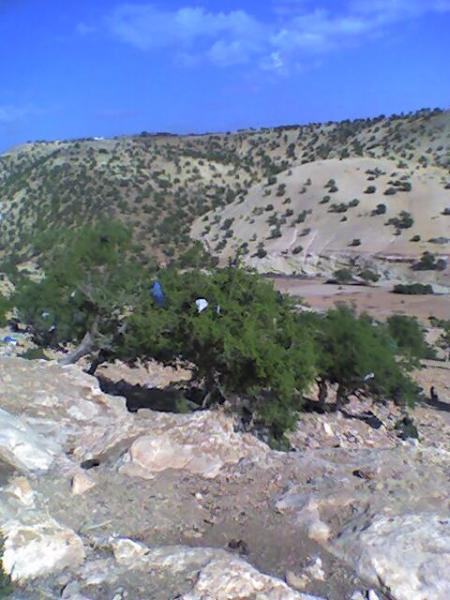 les montagnes d'argane
